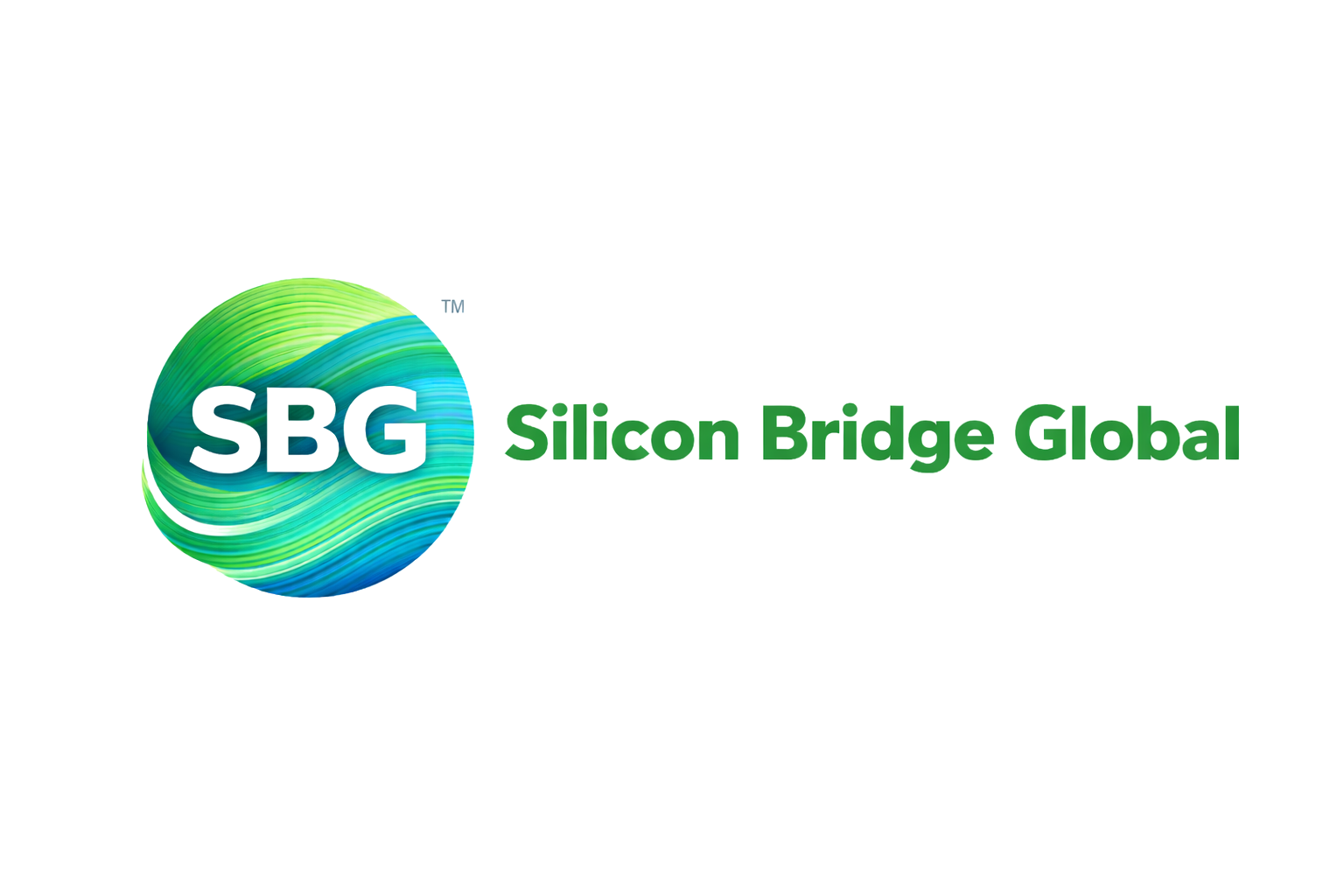 Silicon Bridge Global Logo